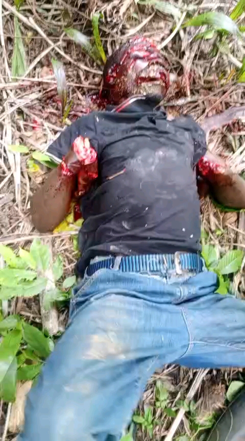 Image Insécurité toujours, l'ennemi de la paix,l'adf nalu a fait incursion à njiapanda bela où plusieurs compatriotes viennent d'être sauvagement abattu.Nous continuons à lasser l'appel aux autorités de voir comment sécuriser la population et leurs biens.