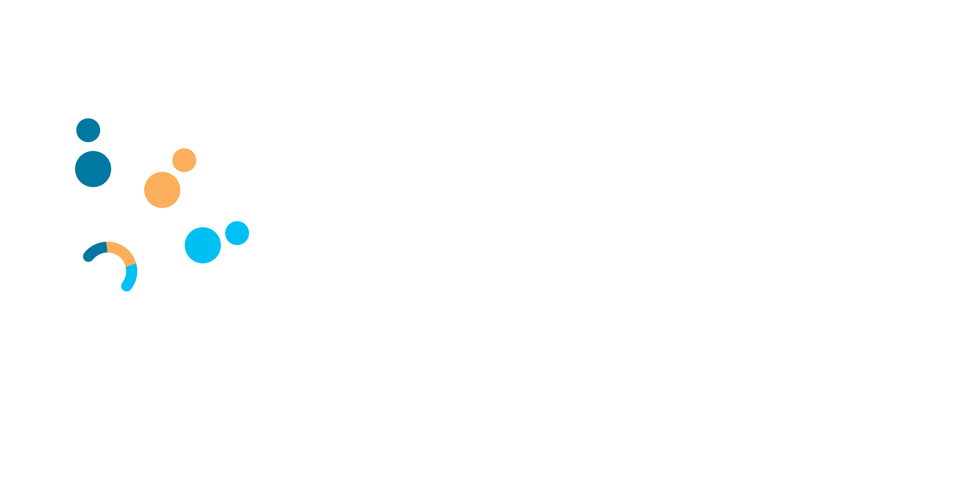 logo de citizen
