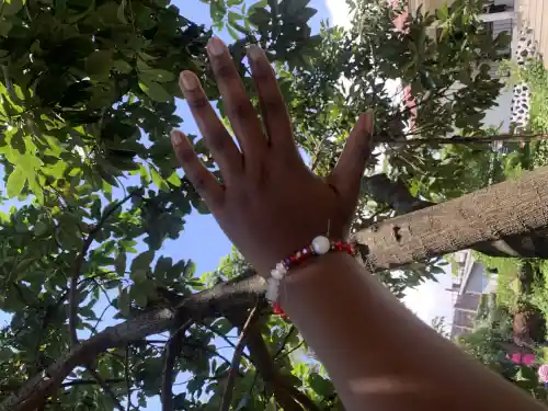 photo de profil de Loyce Mboyo