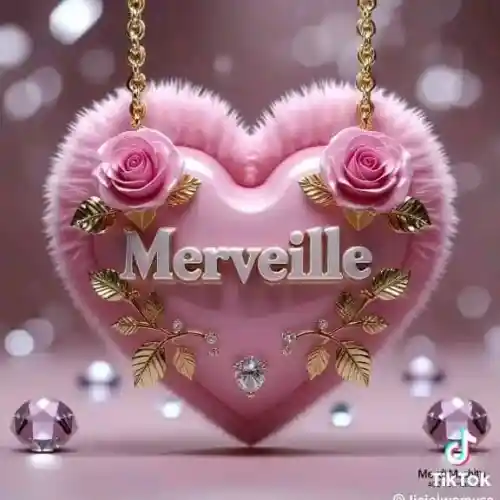 photo de profil de Merveille Menzo