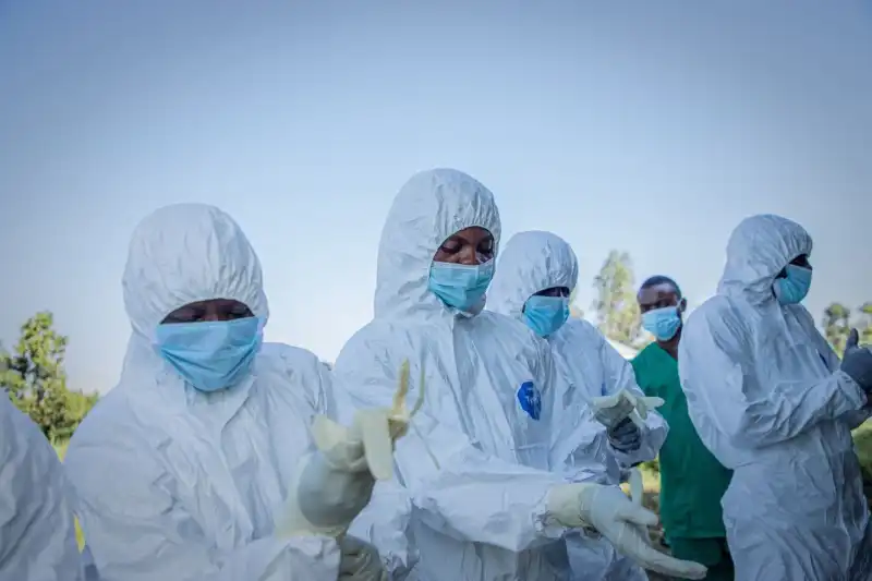 Image La maladie à virus Ebola circule dans l'Est de la RDC. À BENI, un cas a récemment été déclaré guéri, mais les mesures de prévention et de surveillance sanitaire ont été renforcées dans plusieurs points de la ville. Si un membre de votre famille, un proche ou un voisin était placé sous surveillance sanitaire à cause d'Ebola, quelle serait votre réaction ?